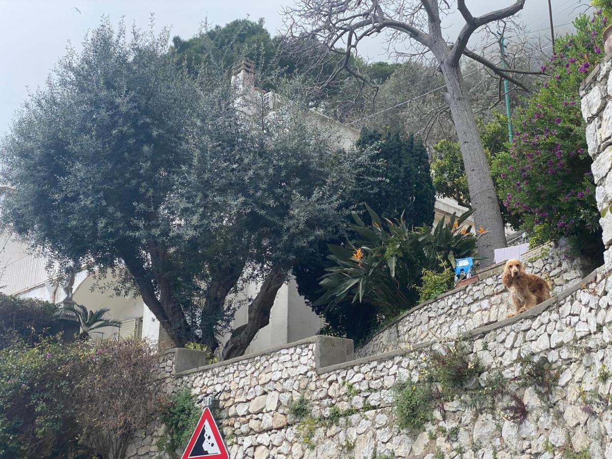 Regina Di Capri - Suite Vista Faraglioni 外观 照片