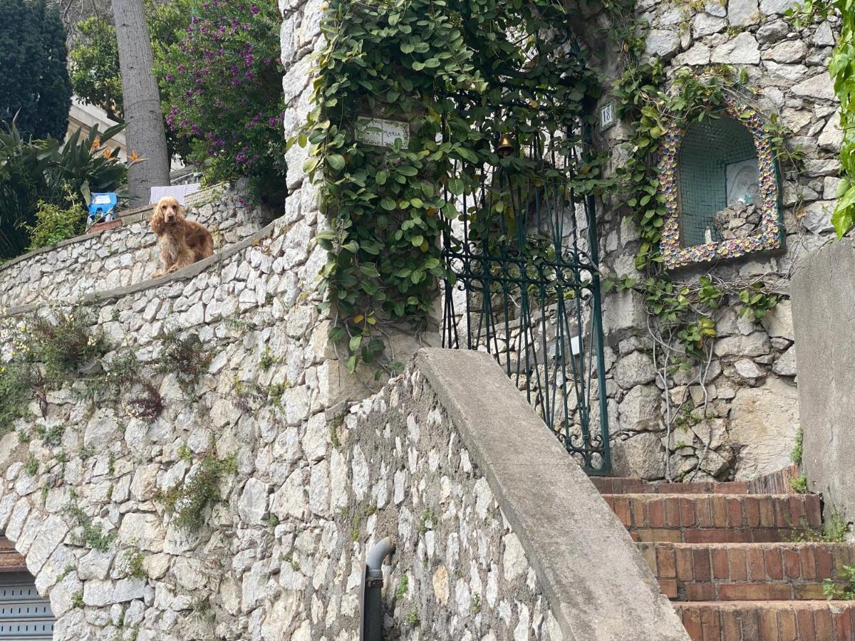 Regina Di Capri - Suite Vista Faraglioni 外观 照片